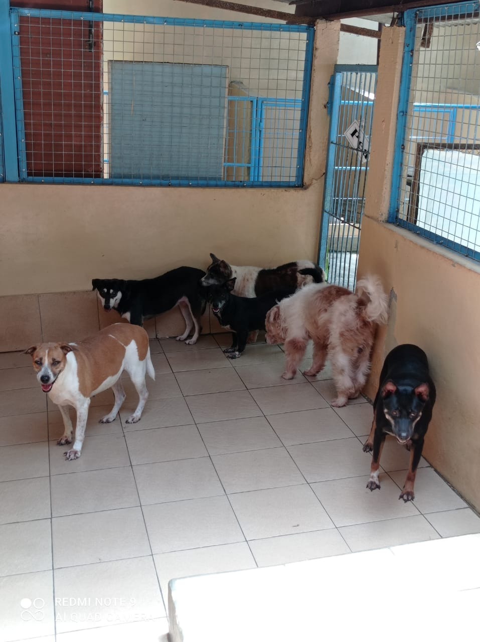 benihbaik_2022-05-31_937758f2add8718a4af5b0a8caa69fb336490def_jpeg