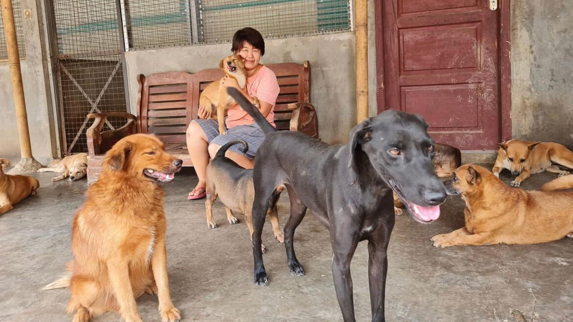 benihbaik_2022-05-31_f41a52e45317bd917c59951292e511e3b046eb39_jpeg