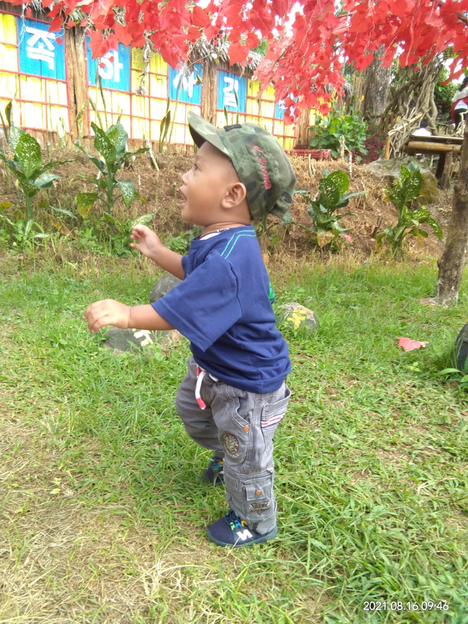 benihbaik_2022-06-03_4c0eb420f7b796add3edf16e6203afe53008ee08_jpeg