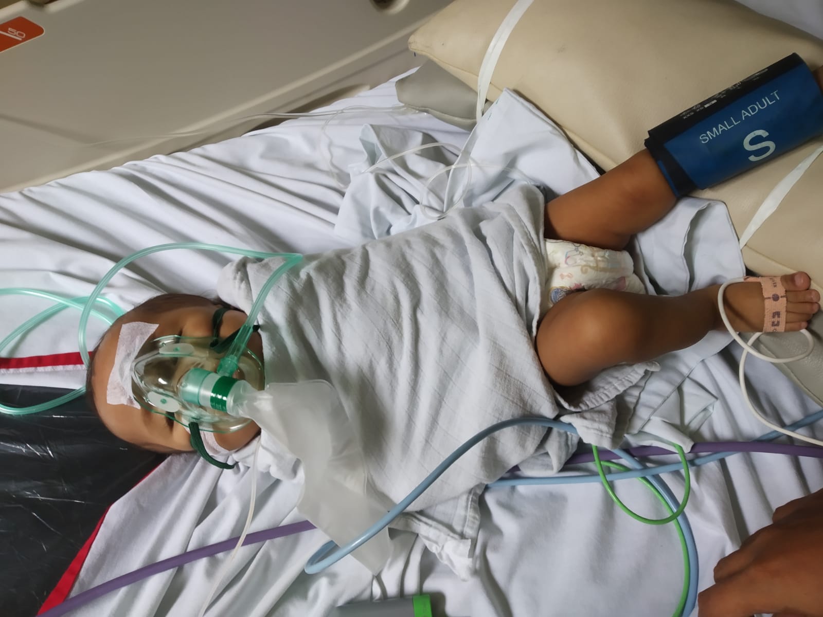 benihbaik_2022-06-03_e72c7820e582fa61a7c90ce42d8cef410f86b317_jpeg