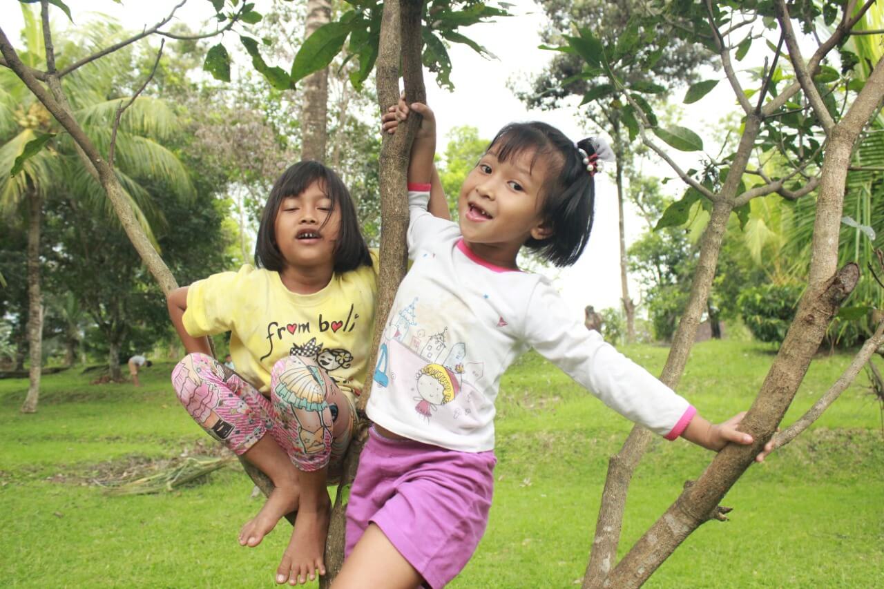 benihbaik_2022-06-06_d1b0739f29399790599e9db358de0d98416308f9_jpeg