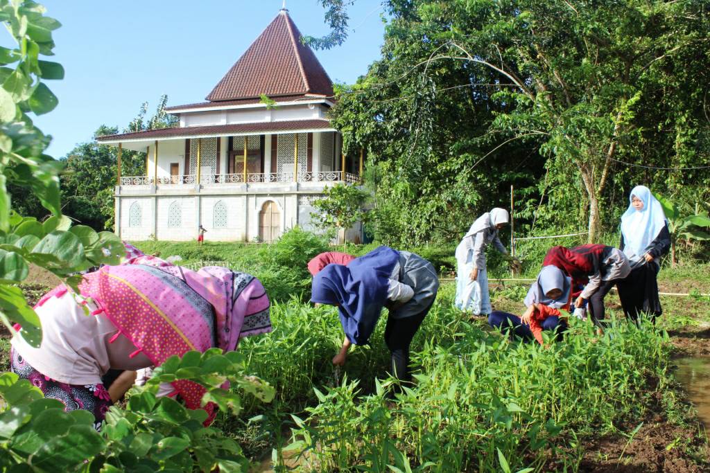 benihbaik_2022-06-07_47eab2324aa43f9114065e4caa89866135f38233_jpeg