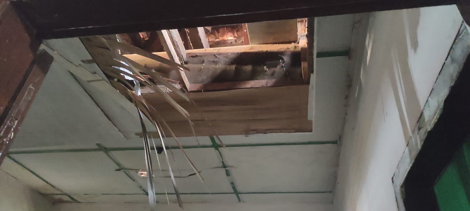 benihbaik_2022-06-08_20bdb4527abd5eab5fbb68633574c685276ce690_jpeg