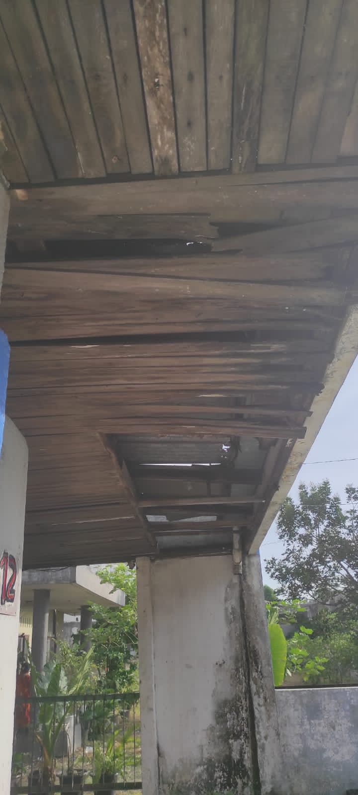 benihbaik_2022-06-08_267966f985a39f32f6844c762a4cc536a7c1b87e_jpeg