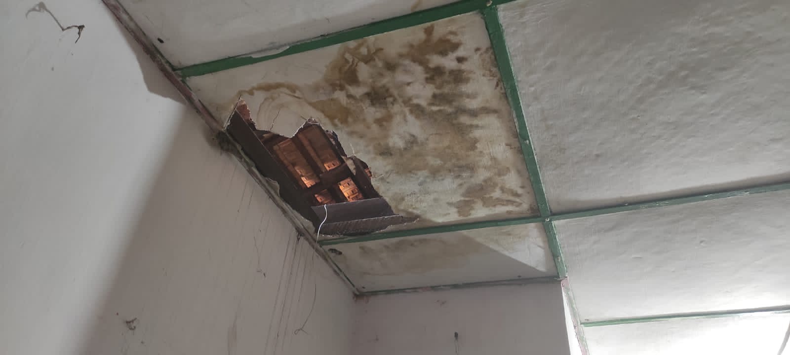 benihbaik_2022-06-08_c0f350bfa44ca6b874e4c457b3c24478115f4715_jpeg