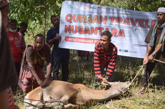 benihbaik_2022-06-09_f1f3c9b882d05a71d7d3f2da8ee0472d72818809_jpeg