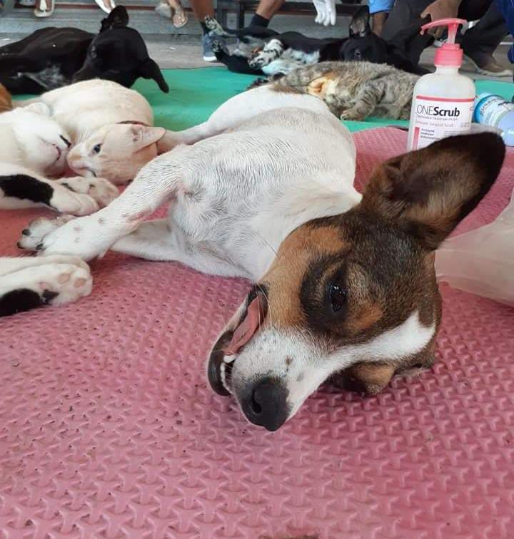 benihbaik_2022-06-10_f3ce397b96608709e7ea7ebc3d17dcac1b608af7_jpeg