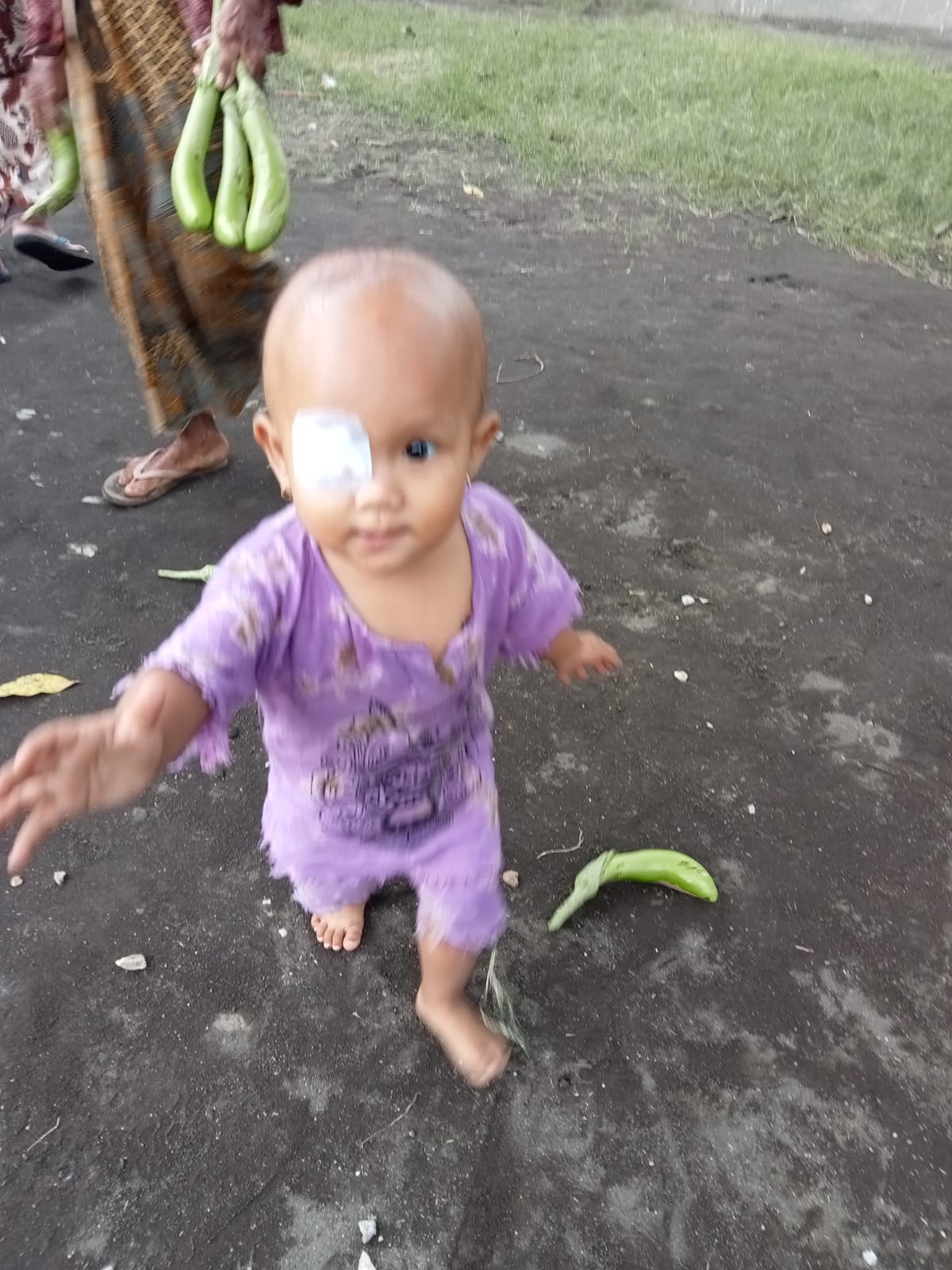 benihbaik_2022-06-21_d3d04e13e1706aae03c1b77b63bd7db4ba02a932_jpeg