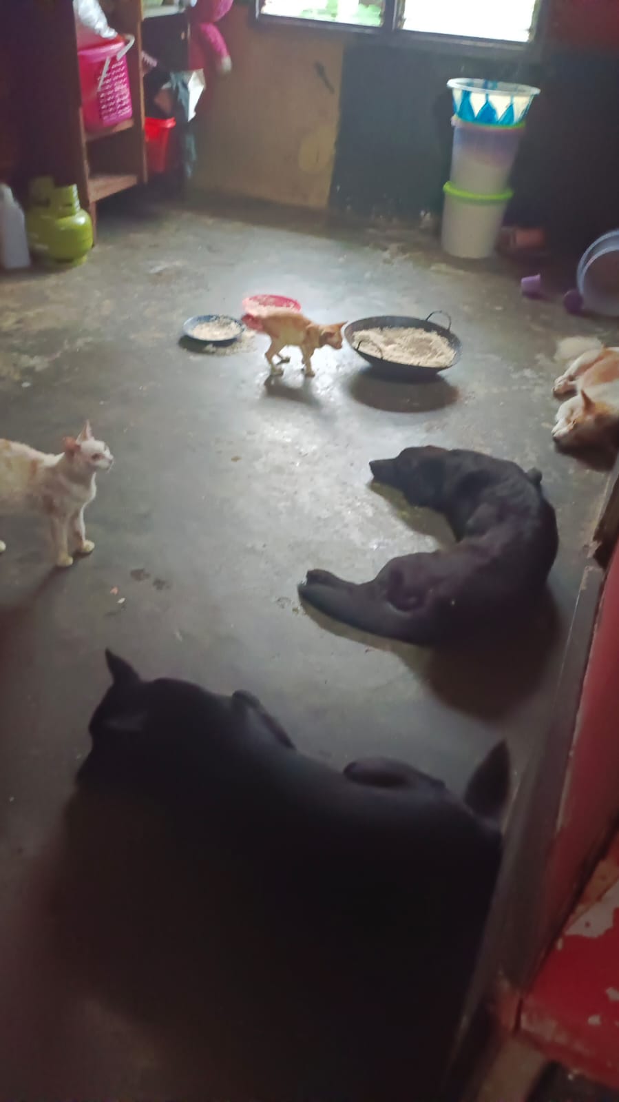 benihbaik_2022-06-23_828b982dc45c62e79f7d9cf398ccf6c1b62fd3e9_jpeg