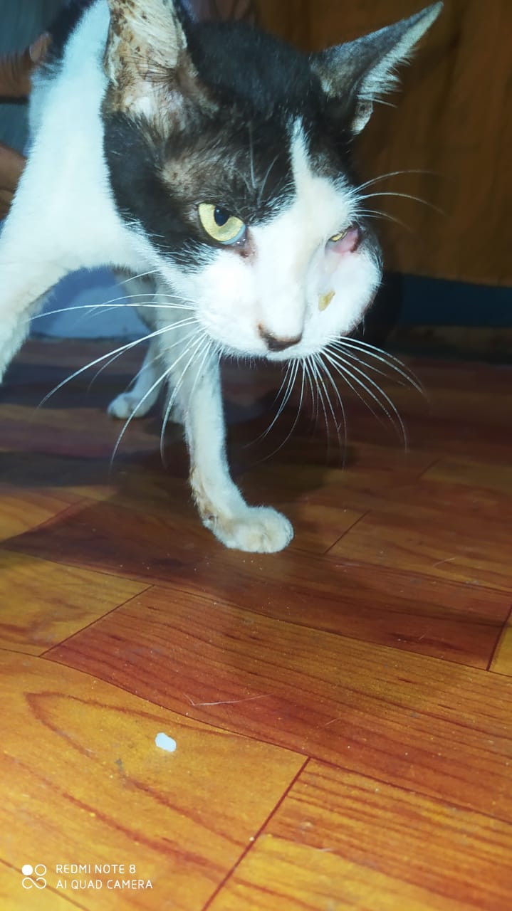 benihbaik_2022-06-23_f656094489faf4eb96b87ee284484ad5915d579c_jpeg