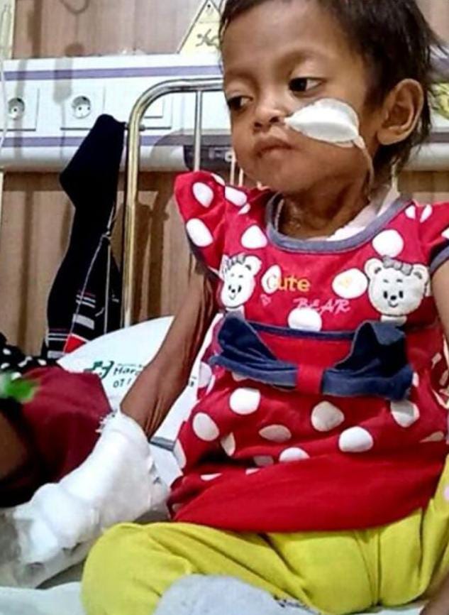 benihbaik_2022-07-04_d85b1fbe22e4a049c44e42518fd5f586e9b06d4d_jpeg