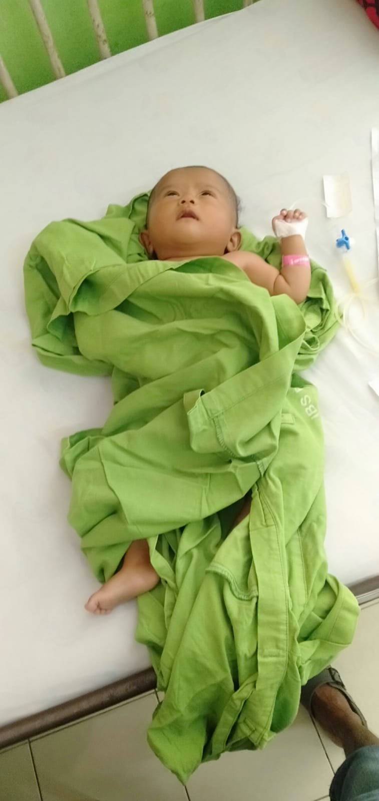 benihbaik_2022-07-08_0286c39fed9c48a719fc1c66b2d8d73628191987_jpeg