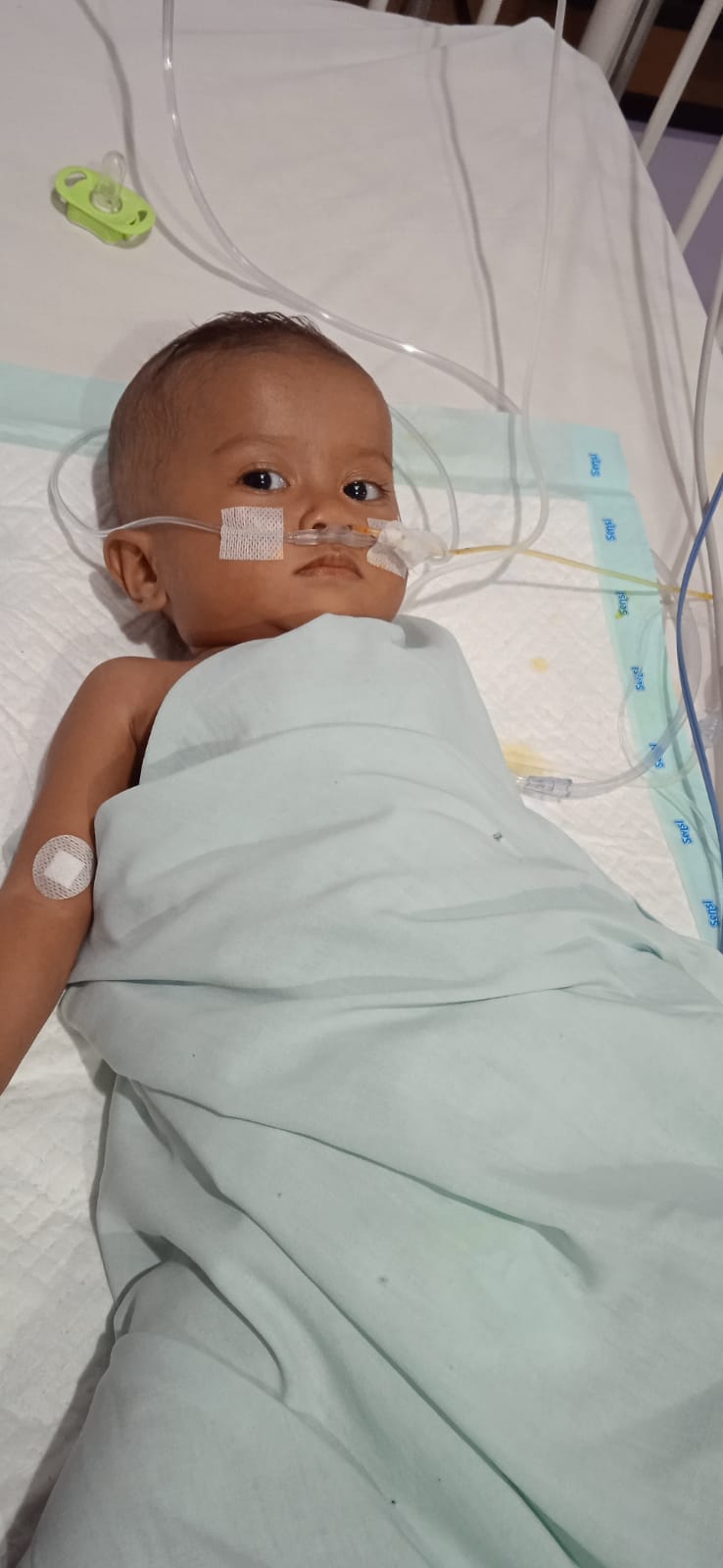 benihbaik_2022-07-08_7cd3075aa5f41e6da28f32fe5b9d60879dd8be38_jpeg