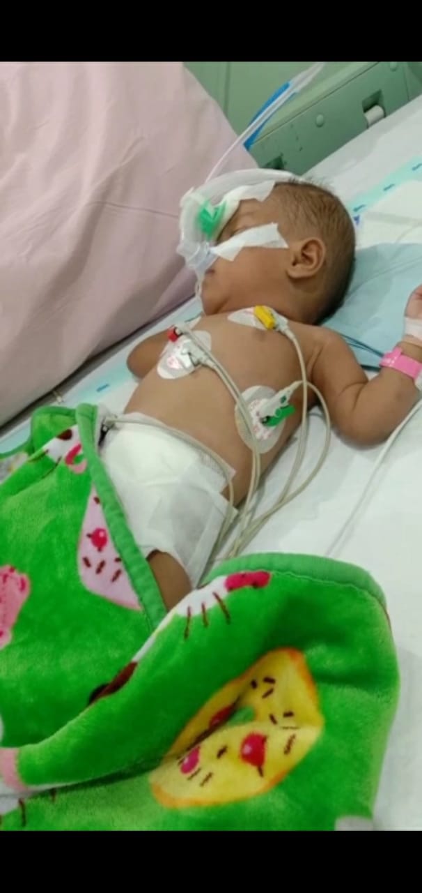 benihbaik_2022-07-08_d42e9b291517c44bdfa06d0dacd6d88a4c1ba6b1_jpeg