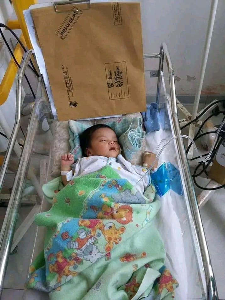 benihbaik_2022-07-11_e299cb13196d85ea3f8336a4c64dc37b777f1140_jpeg