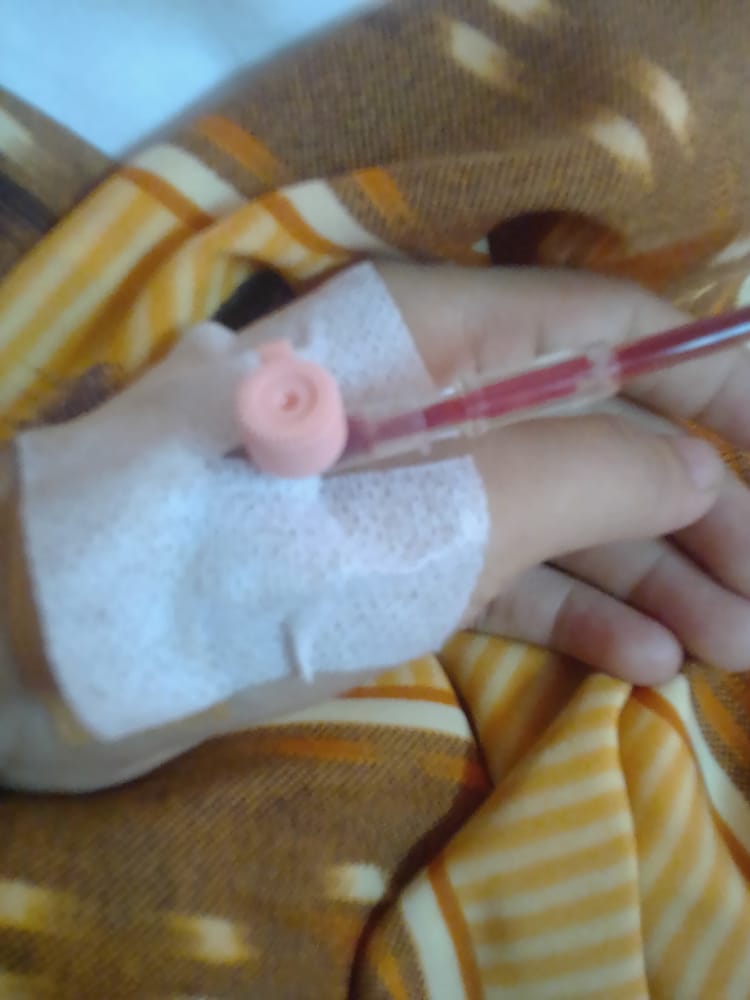 benihbaik_2022-07-13_0b47fd99b342b0bb55ce759a3750e5009624bf61_jpeg