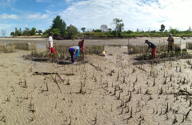 benihbaik_2022-07-26_d185fa43011a1d146d03f2117b1be10d7a75b8bc_jpeg