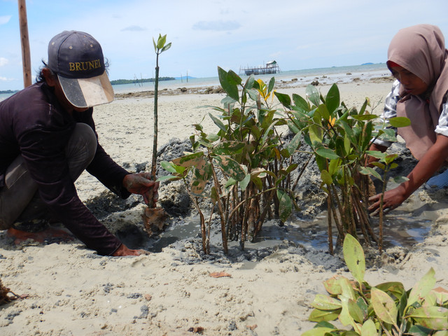 benihbaik_2022-07-26_f61b873feee7ca7407fecccea7e16dce5545190e_jpeg