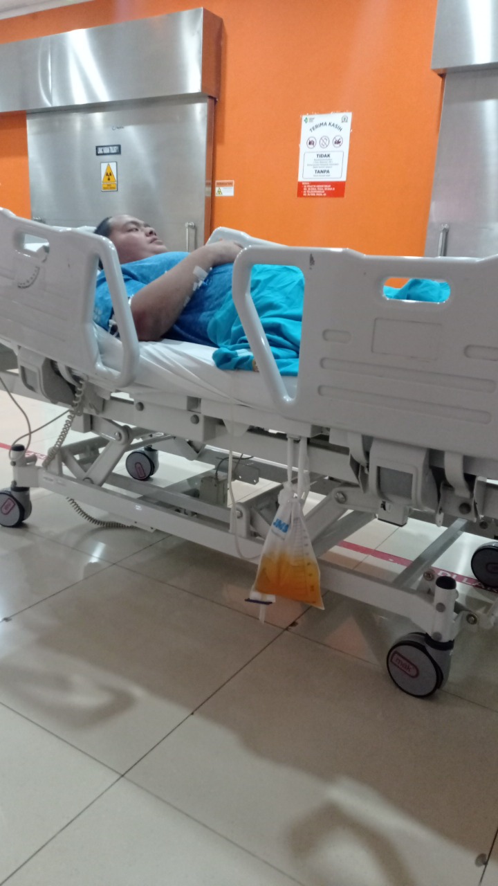 benihbaik_2022-07-29_b421c3f5f799c7f987815ebf3b9df8dbaf6dee81_jpeg