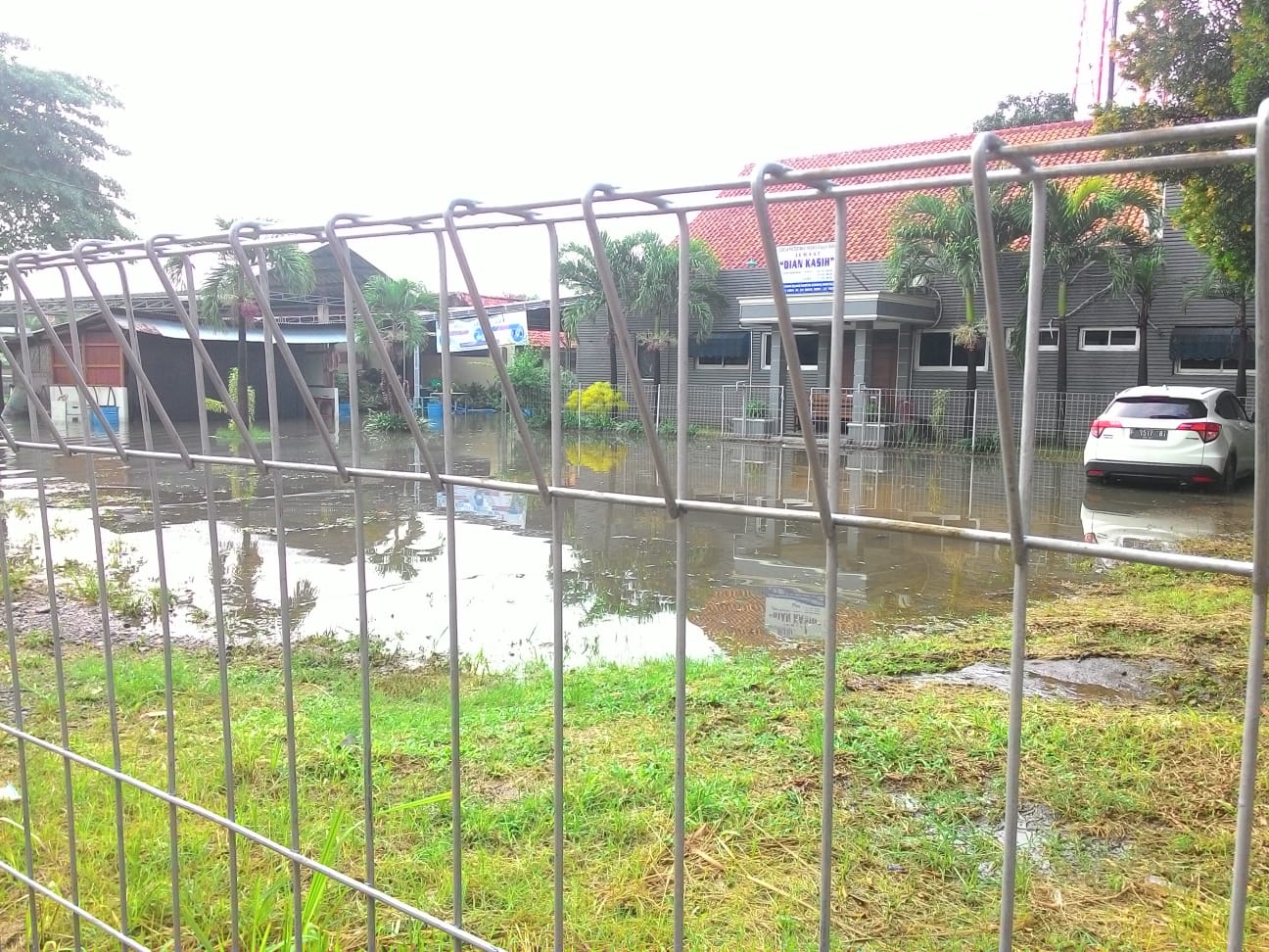 benihbaik_2022-08-16_f5ae16c3f20975e80c8662514188e6b67ba99211_jpeg