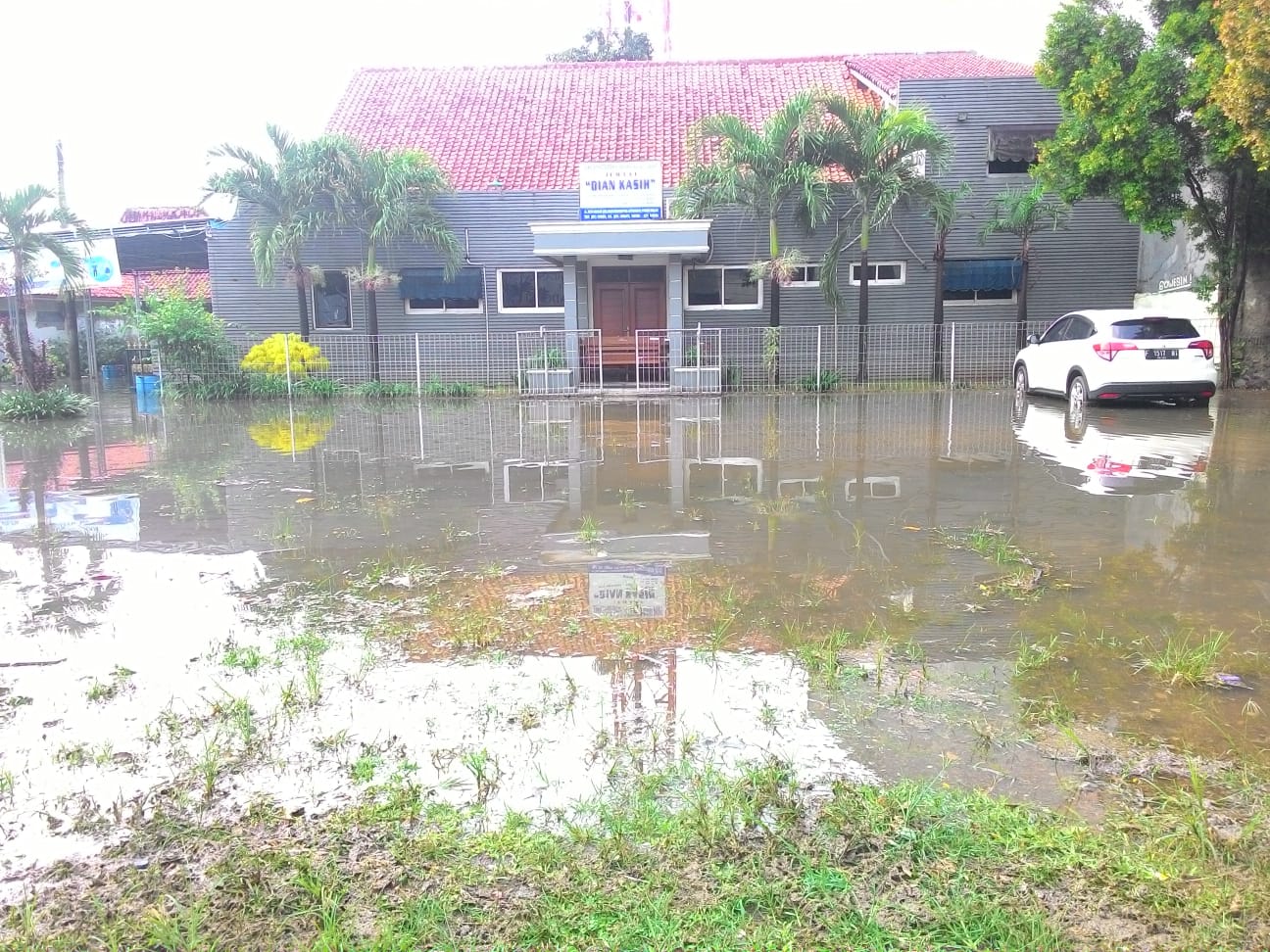 benihbaik_2022-08-16_f752de63eb4ed02f31510034d23e8b4b81878a9e_jpeg