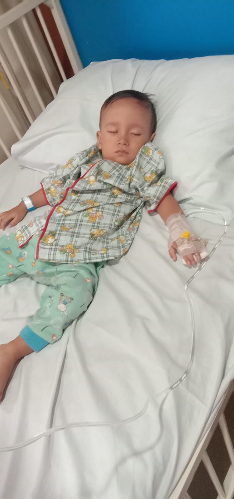 benihbaik_2022-08-18_e0f8b52e010d26315a8a43f96e278b8b77a3928a_jpeg