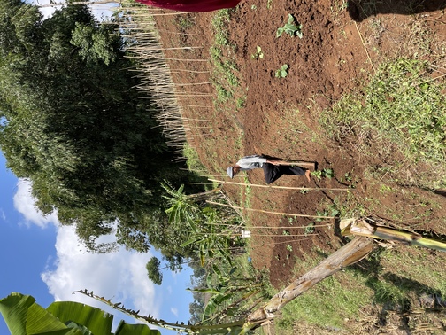 benihbaik_2022-08-19_2e253e3dd8b6f558d6ddee9da420e20c0daae12c_jpeg