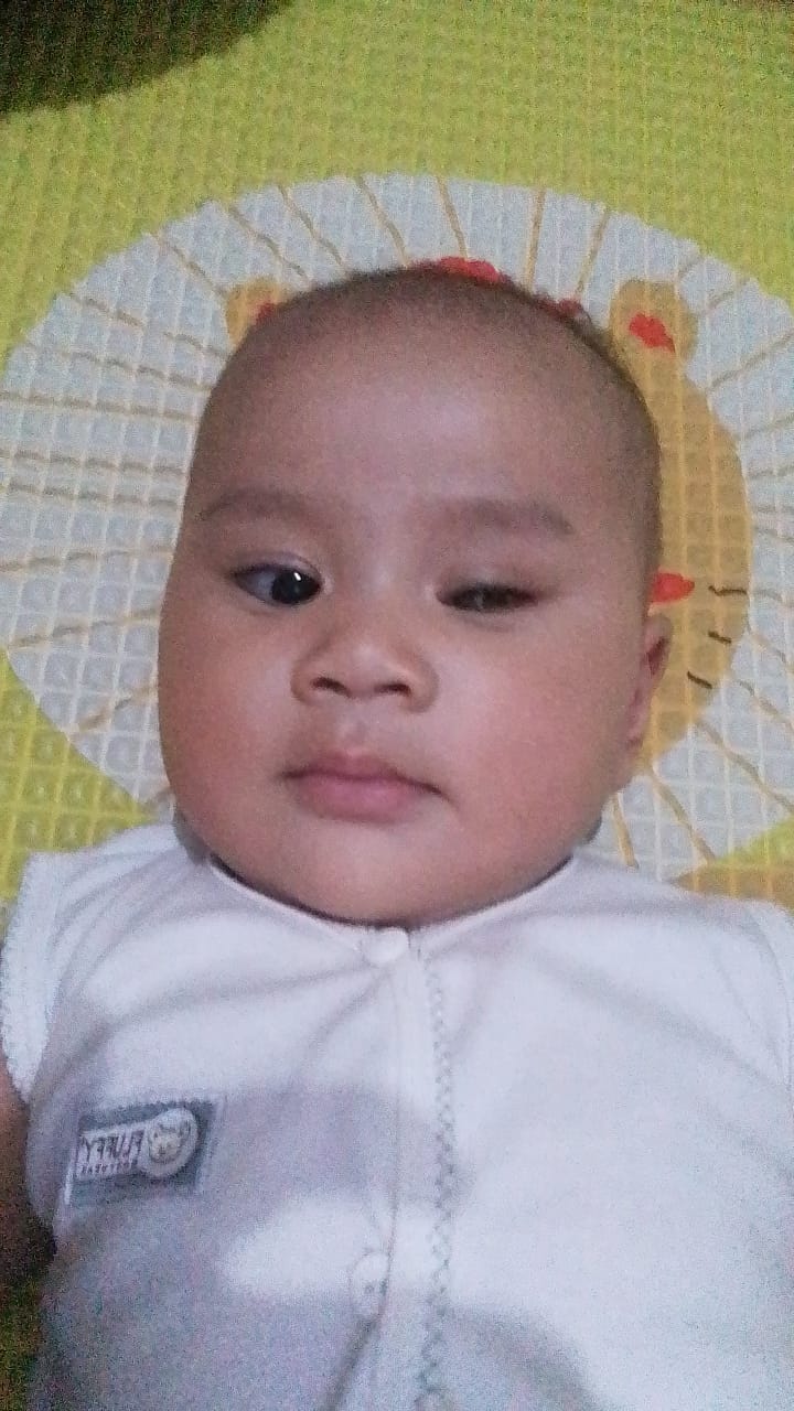 benihbaik_2022-08-22_7c0a3fa351f7e7aba6ae0667dad8c1076f4b44ee_jpeg