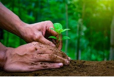 benihbaik_2022-08-24_0de8b96b84fc20a0ab81c5e2db43093dd41cbd32_jpeg