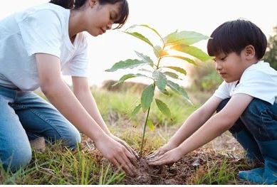 benihbaik_2022-08-24_8b899393fd78c9d378941b0de9aba801f93e916f_jpeg