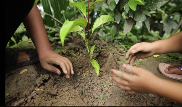 benihbaik_2022-08-24_d2bc2bc651109b3ef127de9a1f65b0f7afb0491b_jpeg