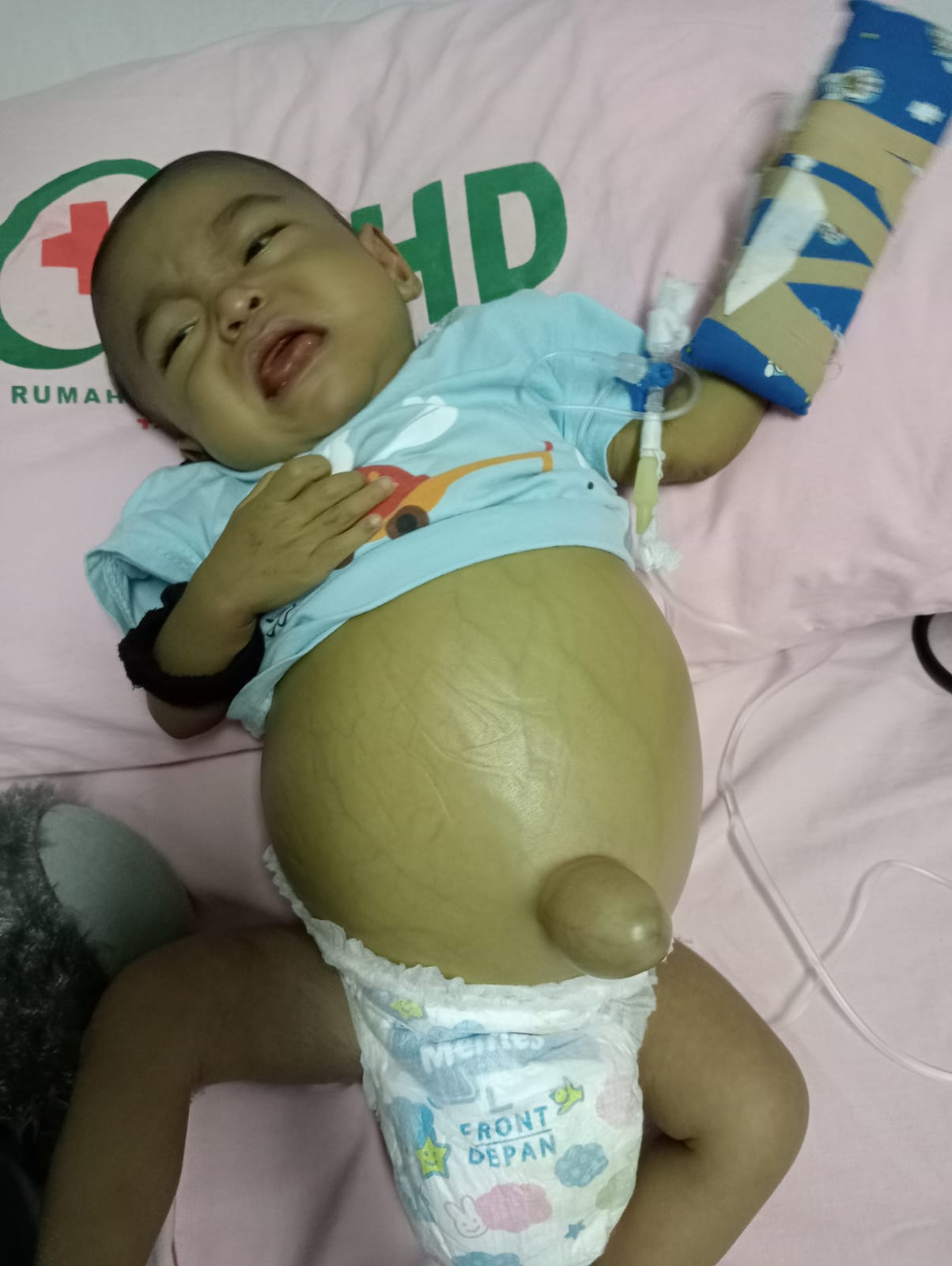 benihbaik_2022-08-26_437dd50f8cd33a89c8ef735f221cf6e2591ce473_jpeg