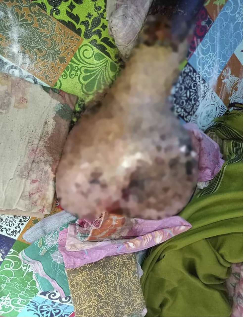 benihbaik_2022-09-05_e515645be29429e4bbc7133713195fe634d22a3c_jpeg