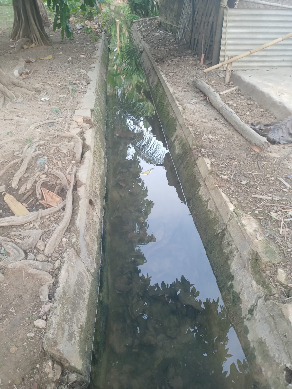 benihbaik_2022-09-07_24dc2099618c3647ec23f1391b999591bbc7697a_jpeg