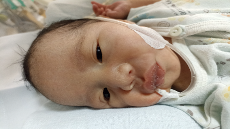 benihbaik_2022-09-13_5a3b9a5277d19eb10be0bb551c4d525b14b77a8c_png