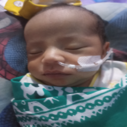 benihbaik_2022-09-13_647090adba8d80140fceee5e3c2787b6828565e7_png