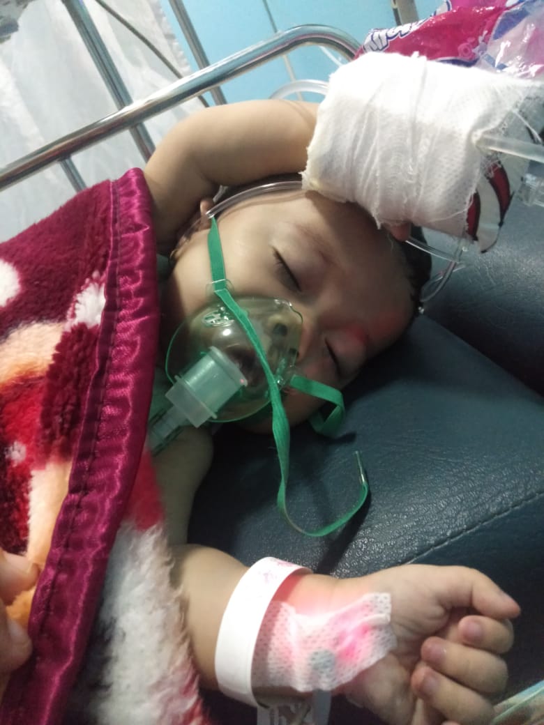 benihbaik_2022-09-15_72ebeb4fe4091589d0d6b4055c16b57663633df7_jpeg