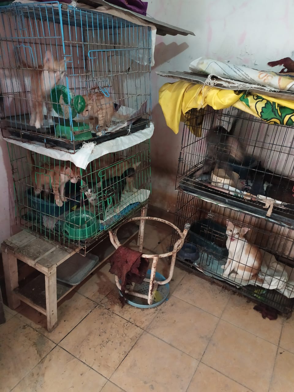 benihbaik_2022-09-19_e4bc74990708c8011ac938f5733264eb37c1225b_jpeg