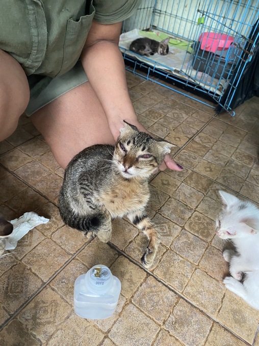 benihbaik_2022-09-20_40b69048a593ecdaec6b45a77e2190027e8ff70a_jpeg