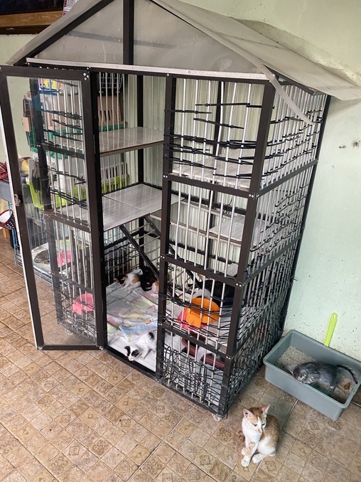 benihbaik_2022-09-20_a5df3db50a6791a300e44c26c9c5dff95de3ee83_jpeg