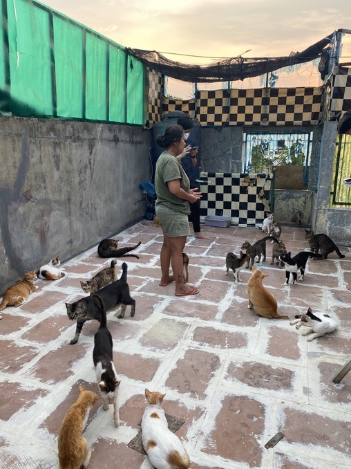 benihbaik_2022-09-20_fe0226fc07463185b30ad9a60fb8670f8f908325_jpeg