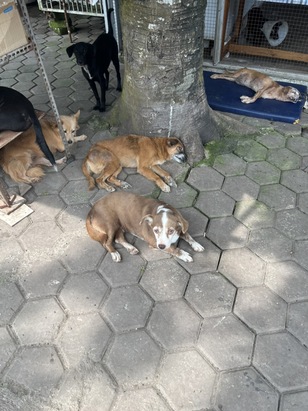 benihbaik_2022-09-21_729a261dfdccc04b95ff32238f05cb24ca983f4a_jpeg