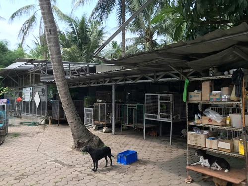 benihbaik_2022-09-21_8f0e30db992f1f2dfcbcd5ce1cfcb935044e24f1_jpeg