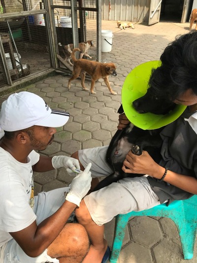 benihbaik_2022-09-21_ee32c3497baeb5c6612a91ccfcbf17da93f4fc28_jpeg