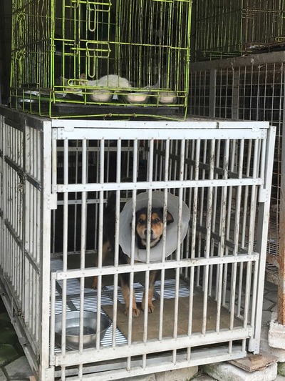 benihbaik_2022-09-21_fc6d008c48860f2dae3e534f8bd2601f444e4000_jpeg