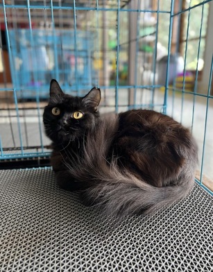 benihbaik_2022-09-22_0ab4b6ee796d4a3311ba3dc288d8278a372bafe5_jpeg