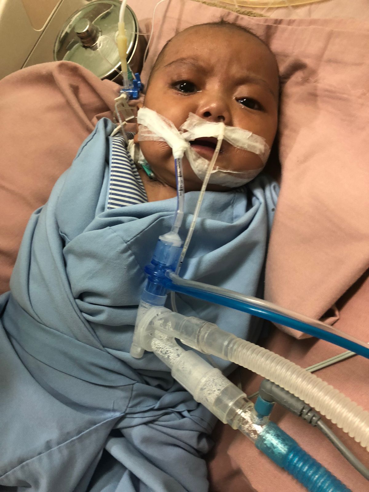 benihbaik_2022-09-23_164ce8d77532206bb1218b3d9ec736c9fab95ece_jpeg