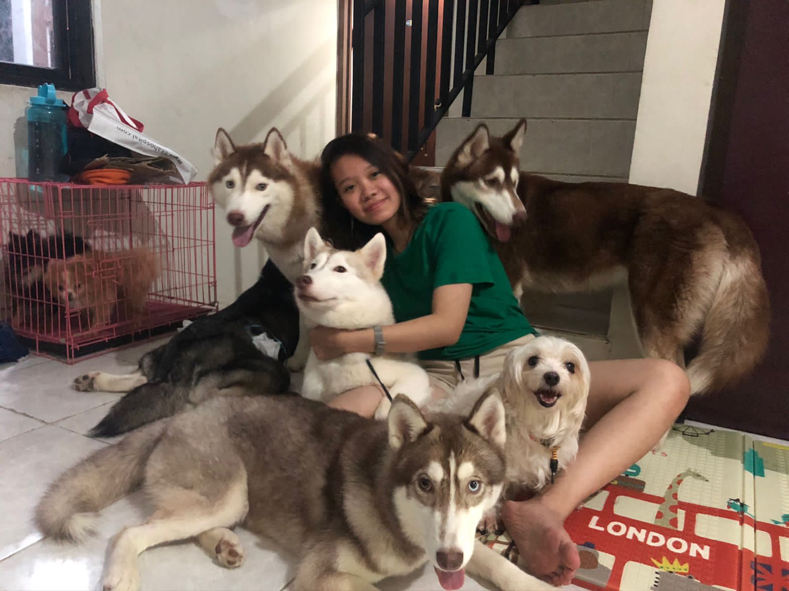 benihbaik_2022-09-26_6c9d5ed3873c190305721984ce697624ccaf78c0_jpeg