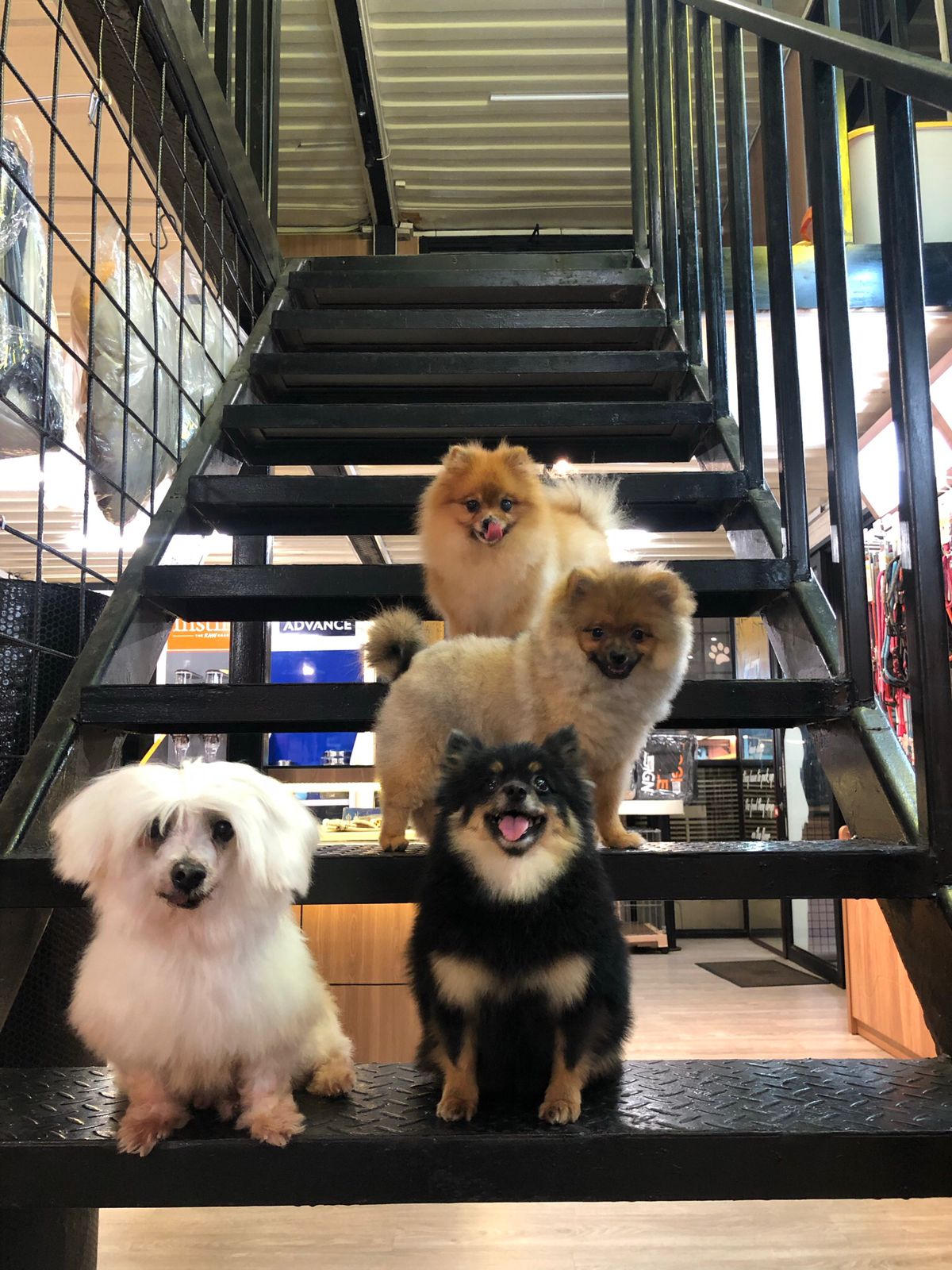 benihbaik_2022-09-26_72865f737e7024dbc7f739ec430d75f6f71b8b69_jpeg