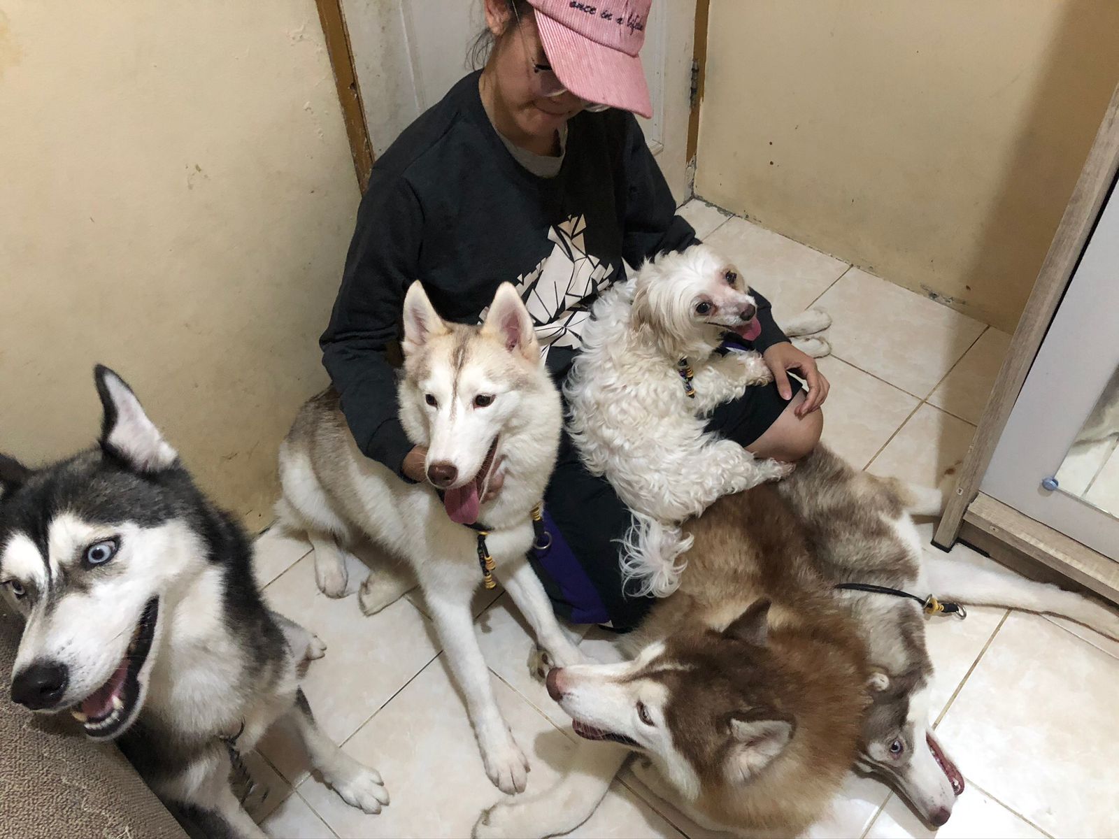 benihbaik_2022-09-26_75f7d3d8e09a198a62ee246b5f5a53ca46eab781_jpeg